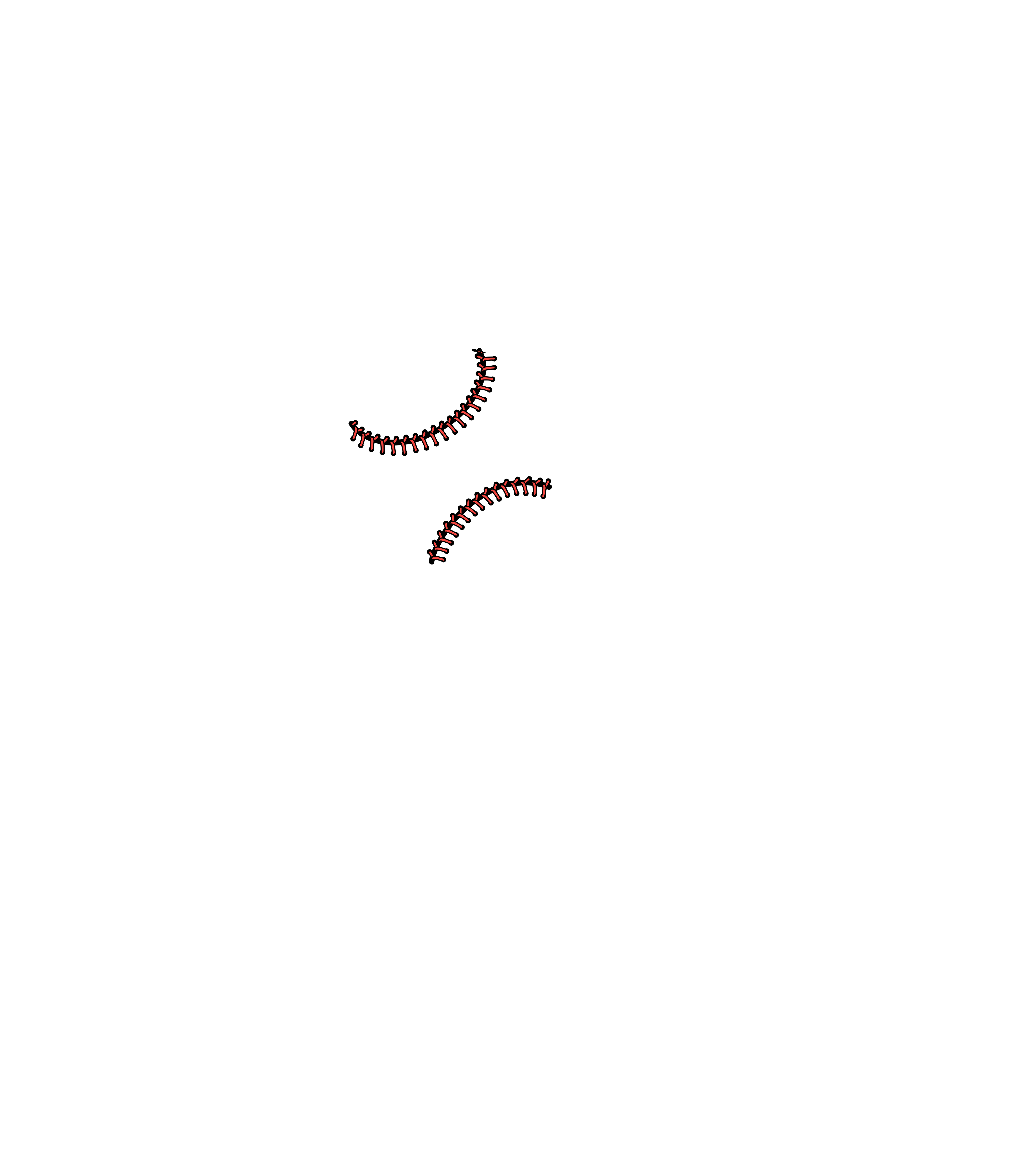 Peckerville Baseball 2020